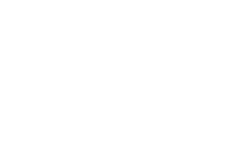 Eis und Zitrone // Brand Design Studio